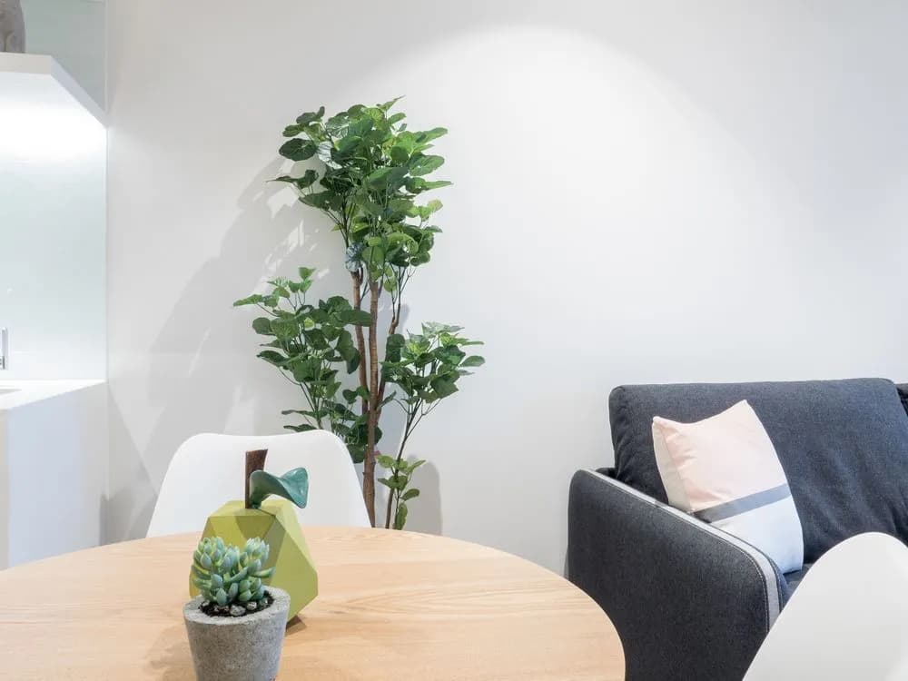 LittleStay Collection- Eporo - photo 13