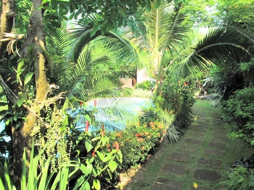 Zea Za Garden - photo 39