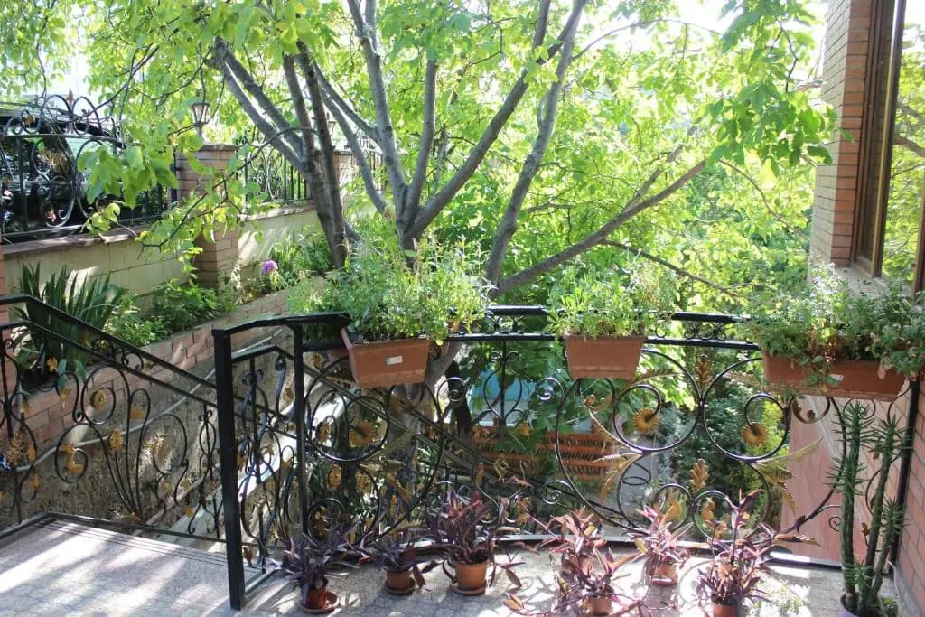Hotel Panafi - photo 17