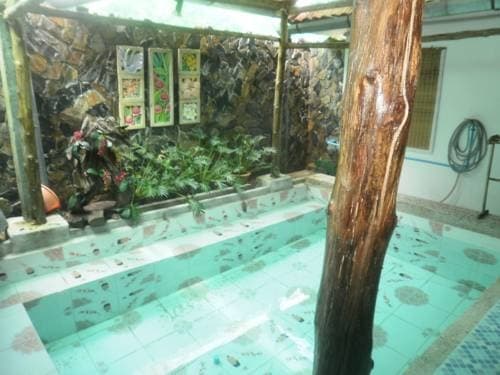 Teeta Resort - photo 15
