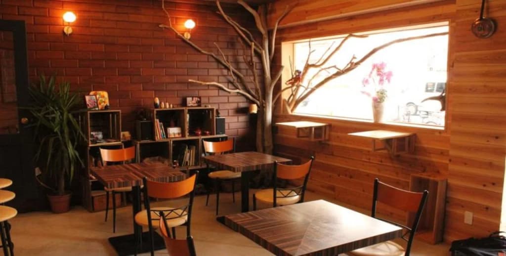 Bar & Hostel MONDO - Hostel - photo 12