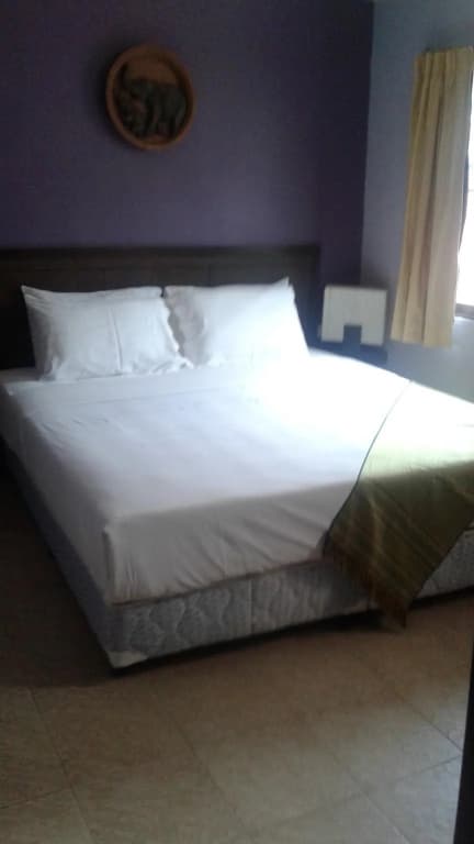 Max&Pui Guesthouse - photo 4