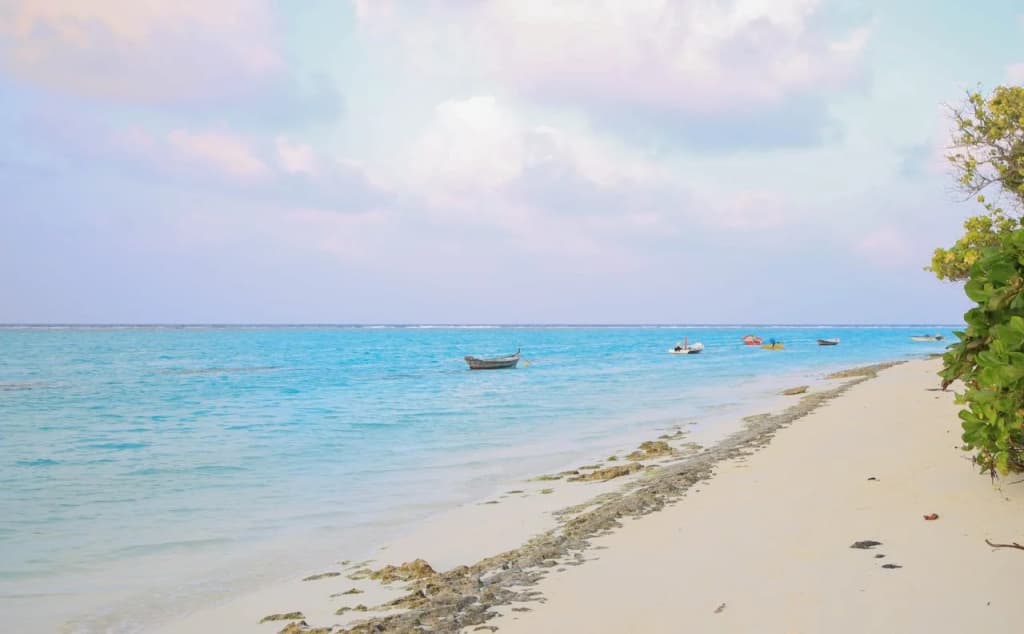 Evila Inn - Thoddoo - photo 13