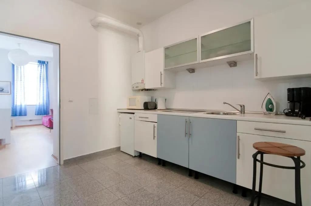 Premium Apartments Klimschgasse - photo 12