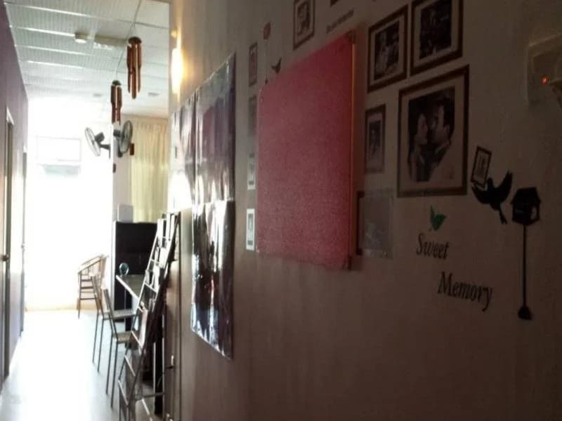 Sekai Guesthouse and Backpackers - main photo