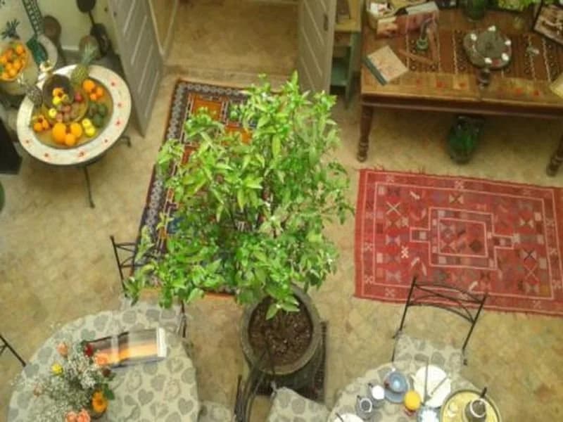 Riad Al Idrisi - photo 10