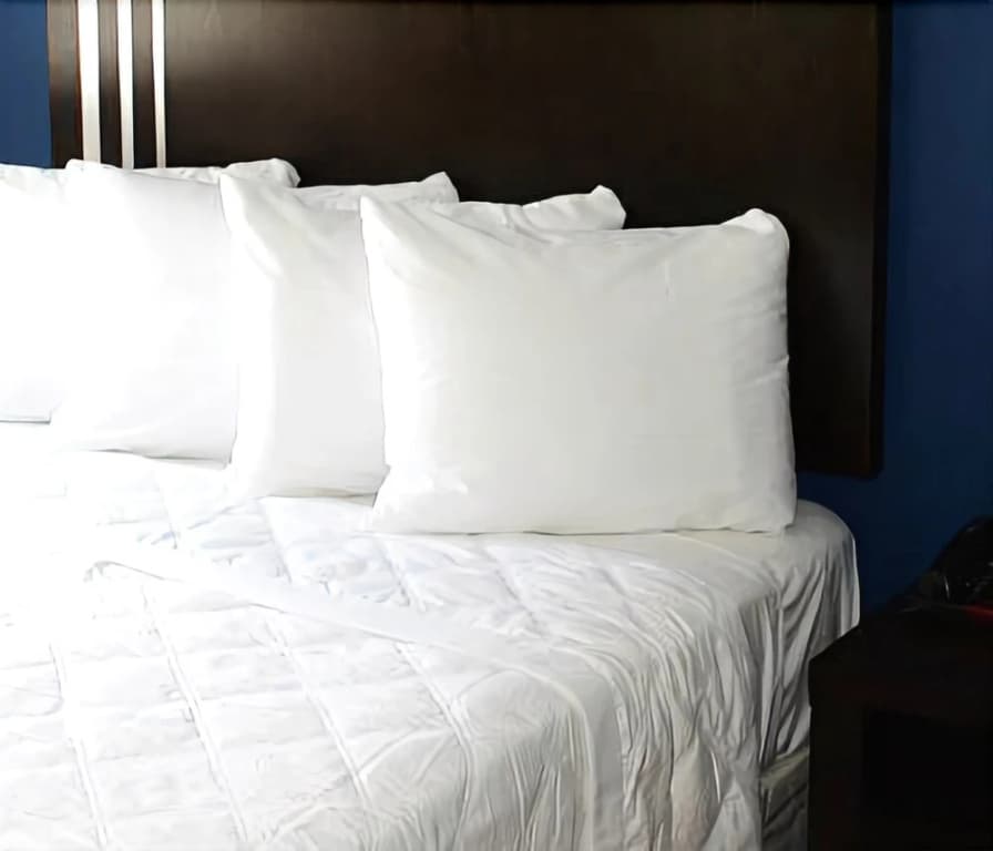 Hotel 99 - photo 2