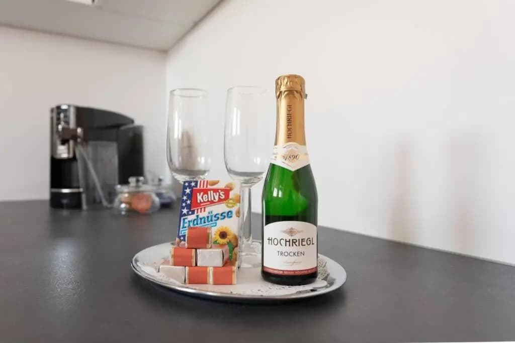 Penthouse near Schoenbrunn with large terrace! N43 - photo 11