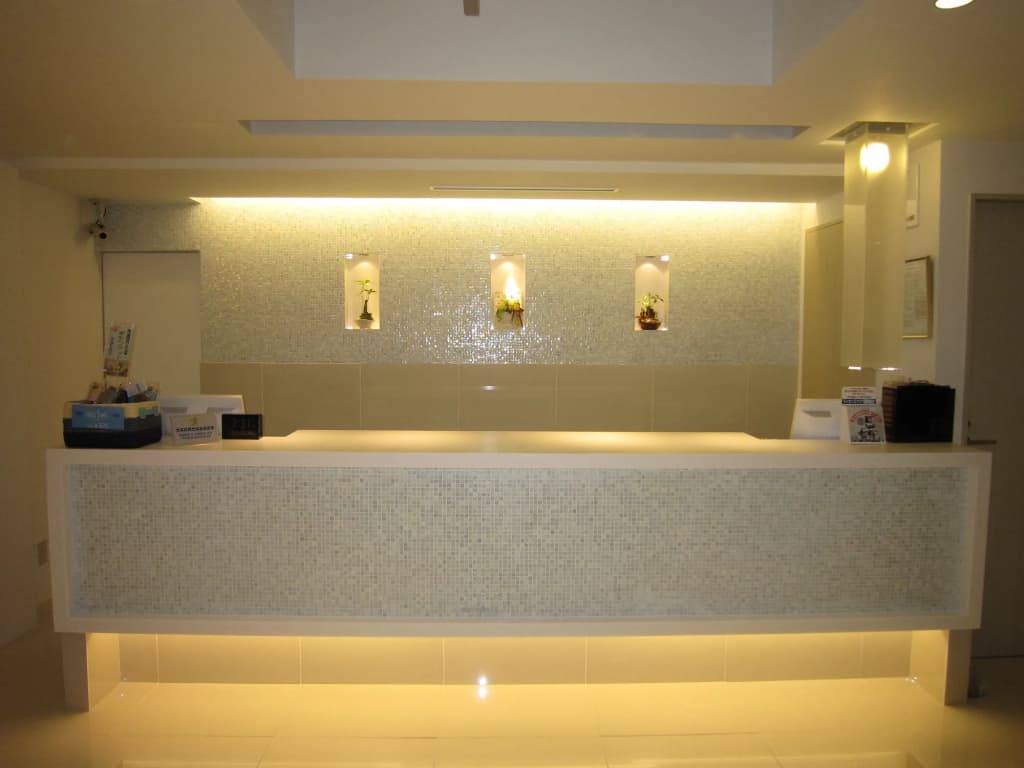 Ochanomizu Inn - photo 13