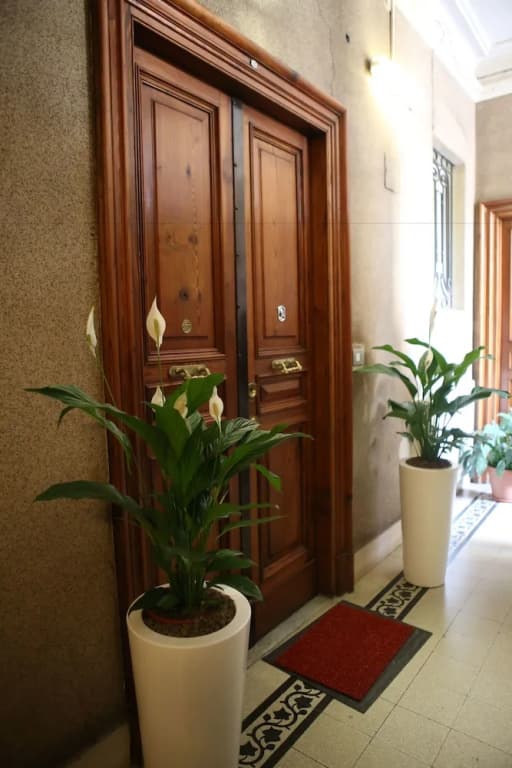 Number1 - photo 11
