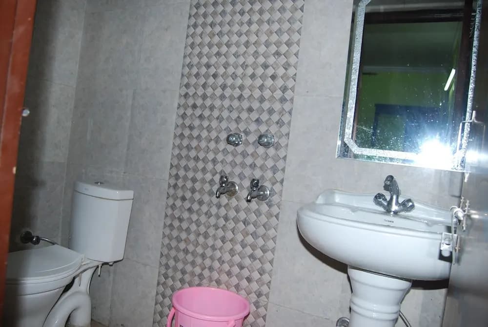 Hotel Lotus Delhi Airport - photo 6