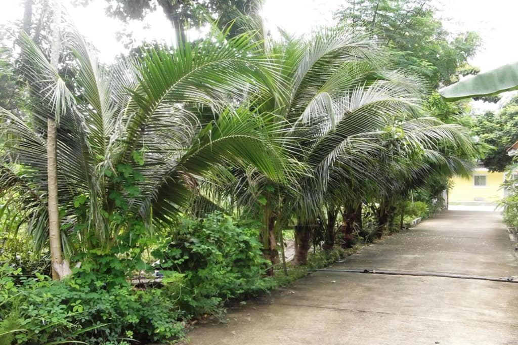 Wilai Villa - photo 14