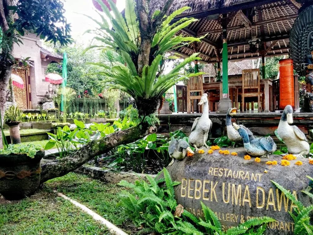 Uma Dawa Resort and Spa - photo 16