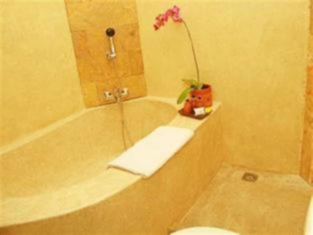 Aniniraka Resort & Spa - photo 8