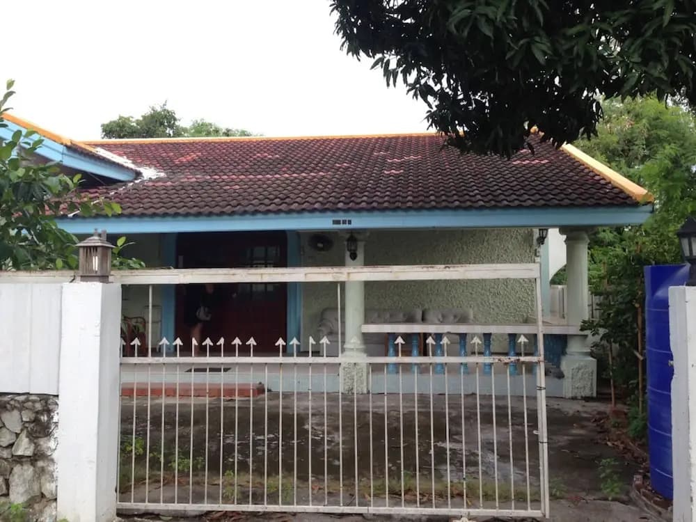 Bam Bus House - photo 10