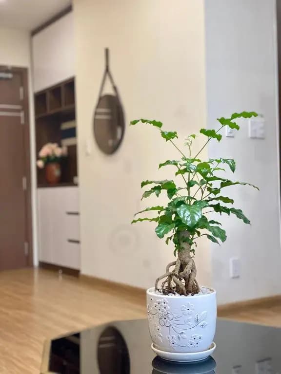 Ivy Apartment - A cozy 2-bedroom apartment perfect for Ha Long Getaway - main photo