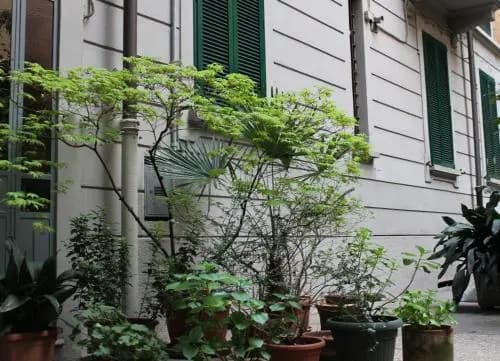 Lepetit Milano - main photo
