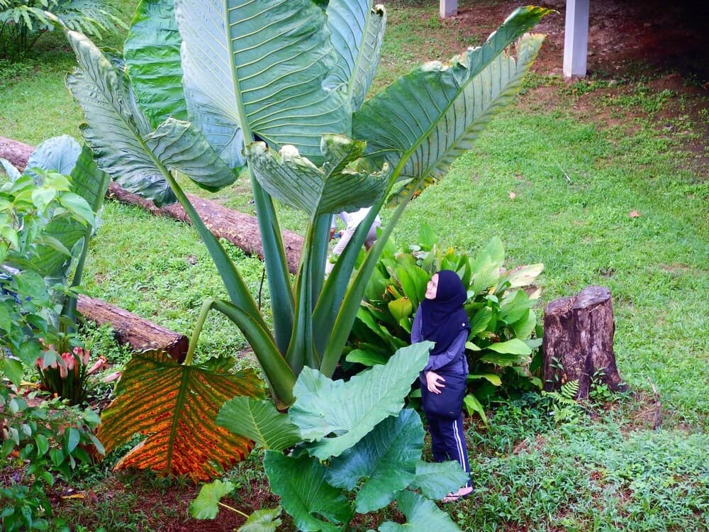Kawag Nature Lodge - photo 5