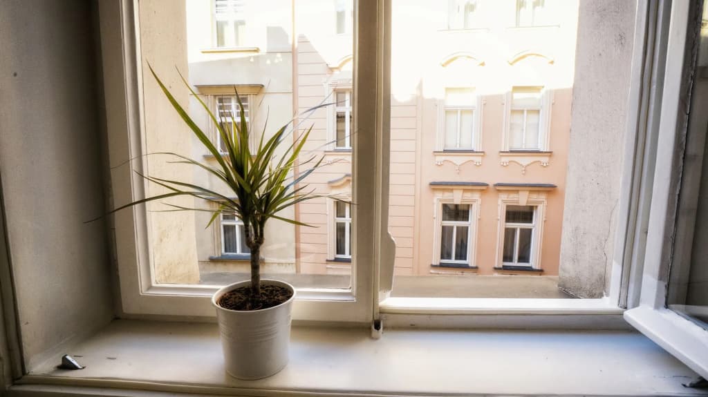 Apartment by the Old Town Square - photo 13