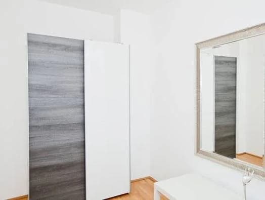 Puzzlehotel Appartement Schonbrunn - photo 9