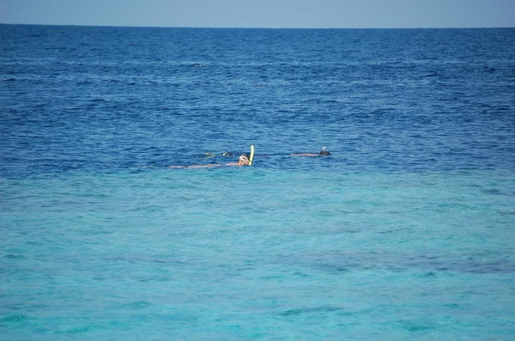 Vaali Maldives Island Escapes & Dive Guest House - photo 29