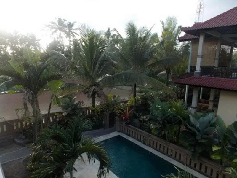 Yogi House Ubud - photo 7