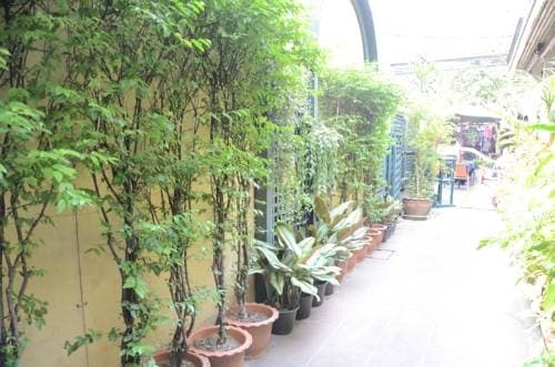 Tuptim Bed & Breakfast - photo 4