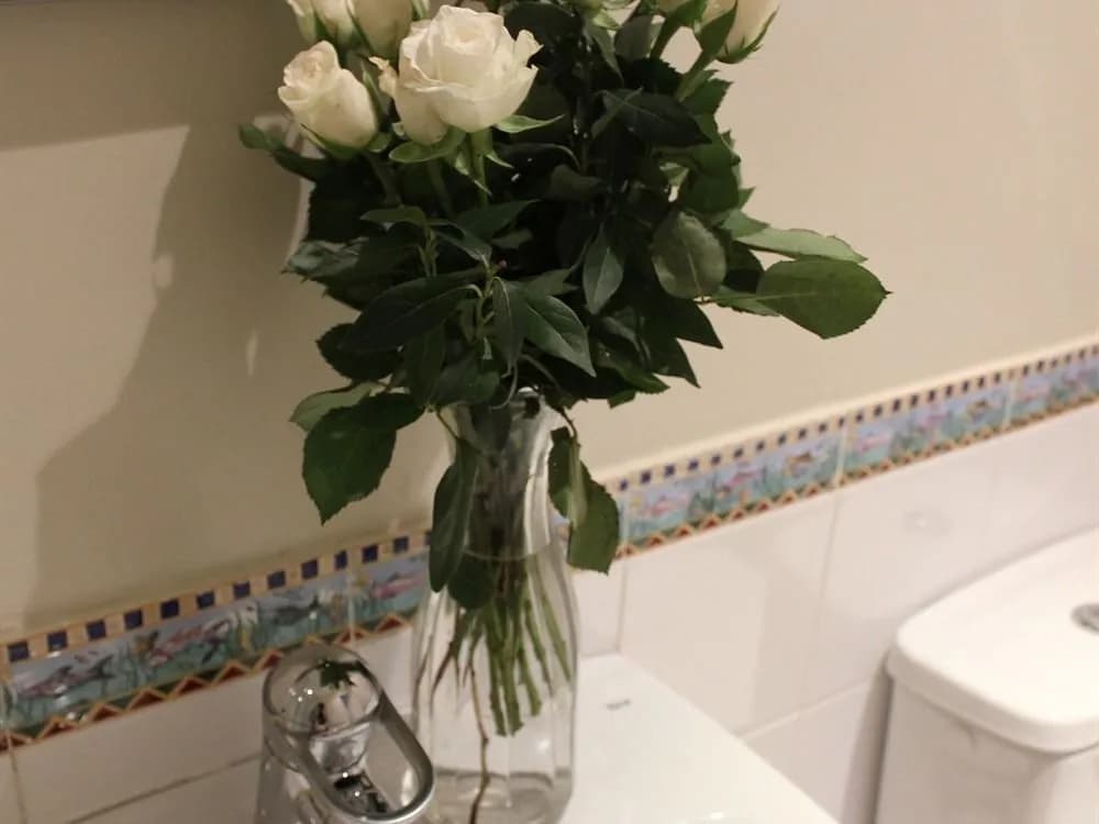 Ros Mor B&B - photo 8