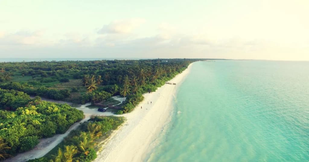 Long Beach Laamu - photo 11