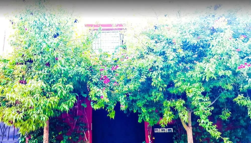 Apartment with One Bedroom in Marrakech, with Enclosed Garden And Wifi - photo 8