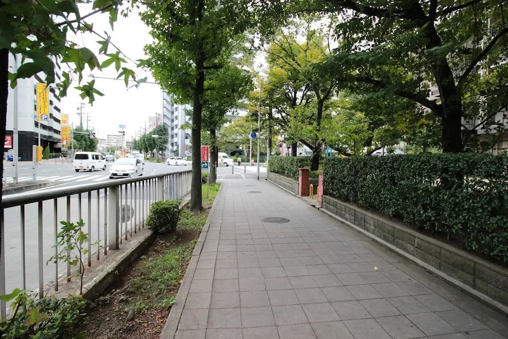 Saint Paulia Osaka Castle - photo 15