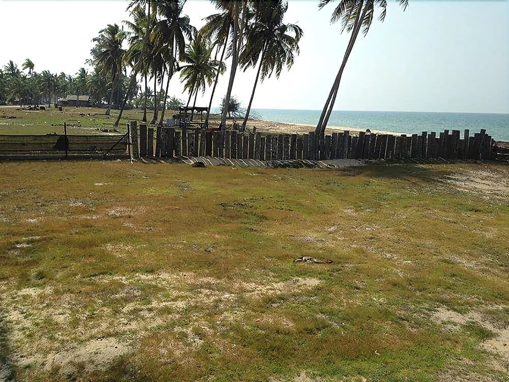 Sekeping Penarek Homestay - photo 9