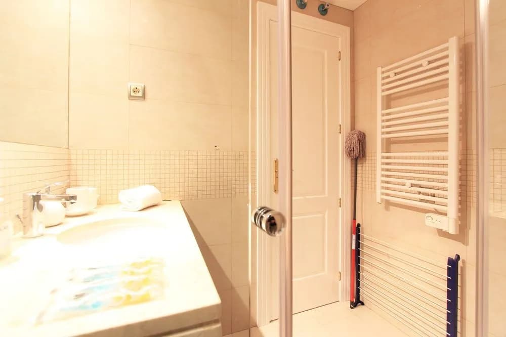 Apartamentos MLR Plaza Mayor - photo 6