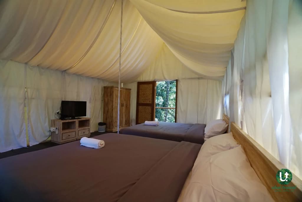 Ubud Tropical - Hostel - photo 4