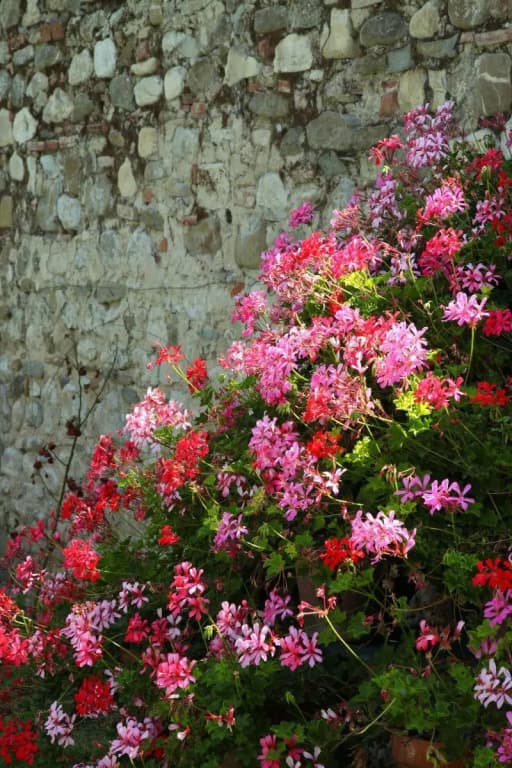 B&B Rovezzano - photo 25