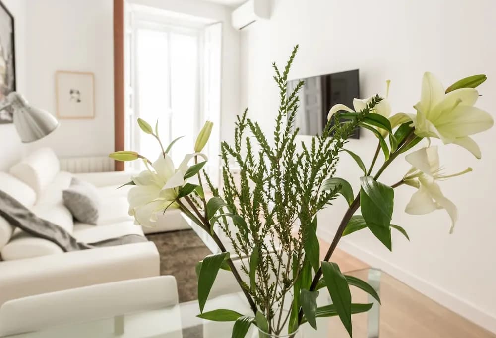 Chueca Exclusive - MADflats Collection - photo 4