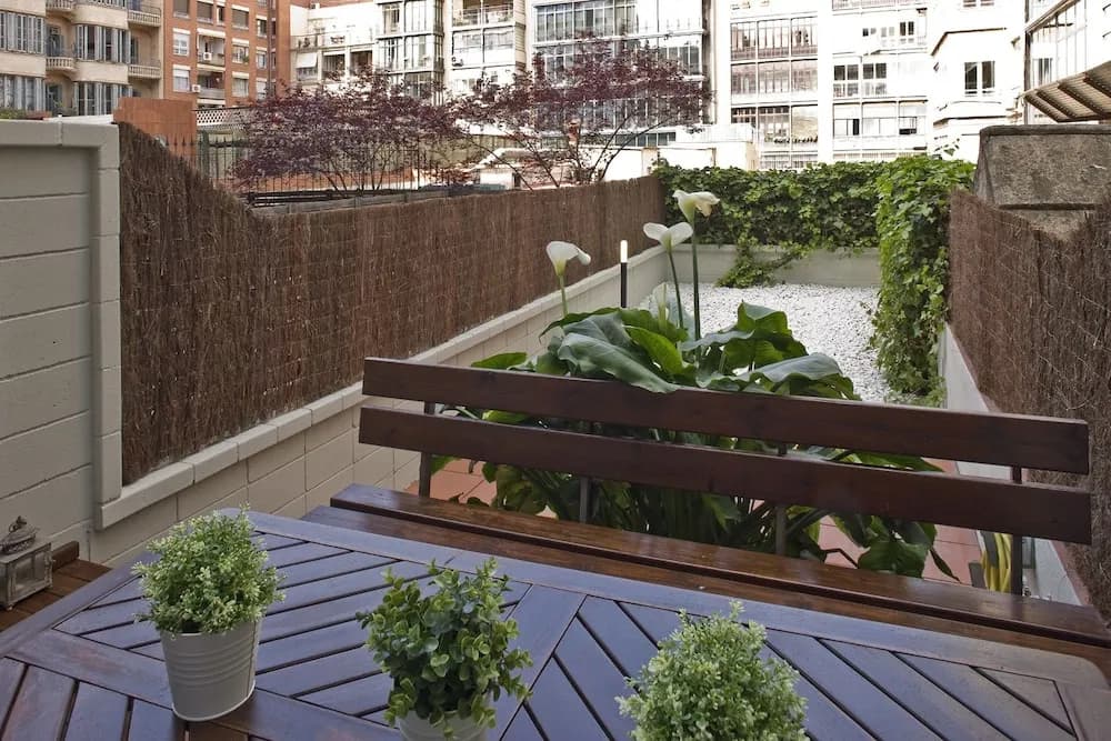 Flateli Lluria - main photo