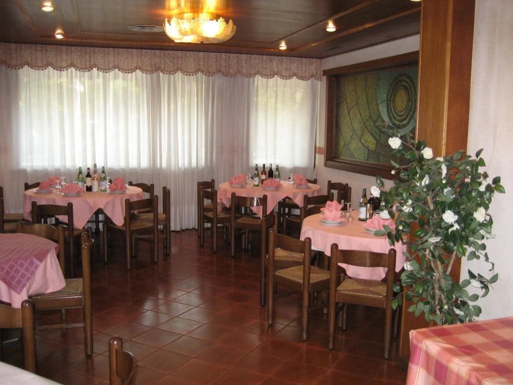 Hotel Vienna - photo 12