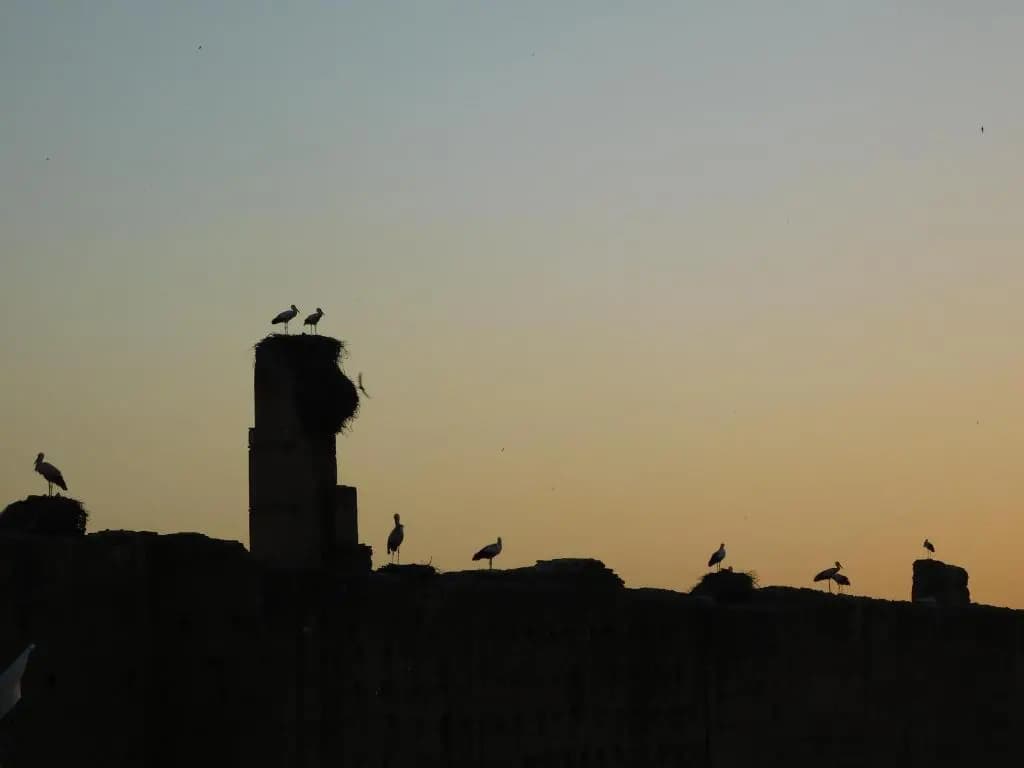 Riad Assalam - photo 14