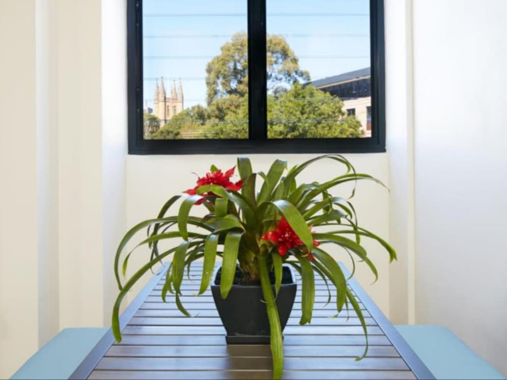 Veriu Camperdown - photo 15