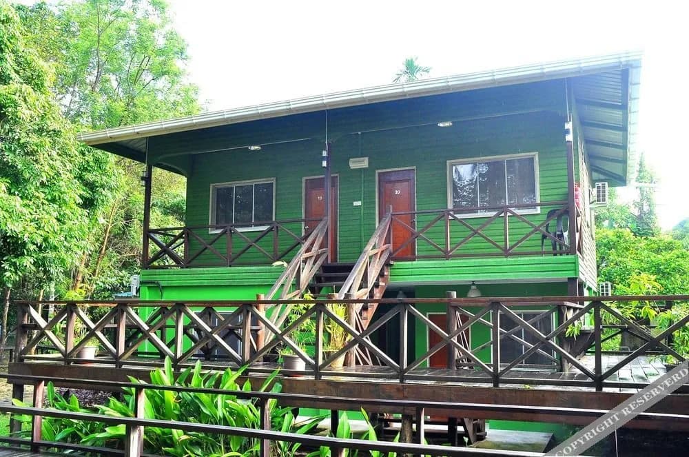 Sukau Greenview Bed and Breakfast - photo 8