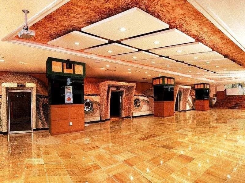 Metro Spa Cabin Backpacker Seoul - photo 22
