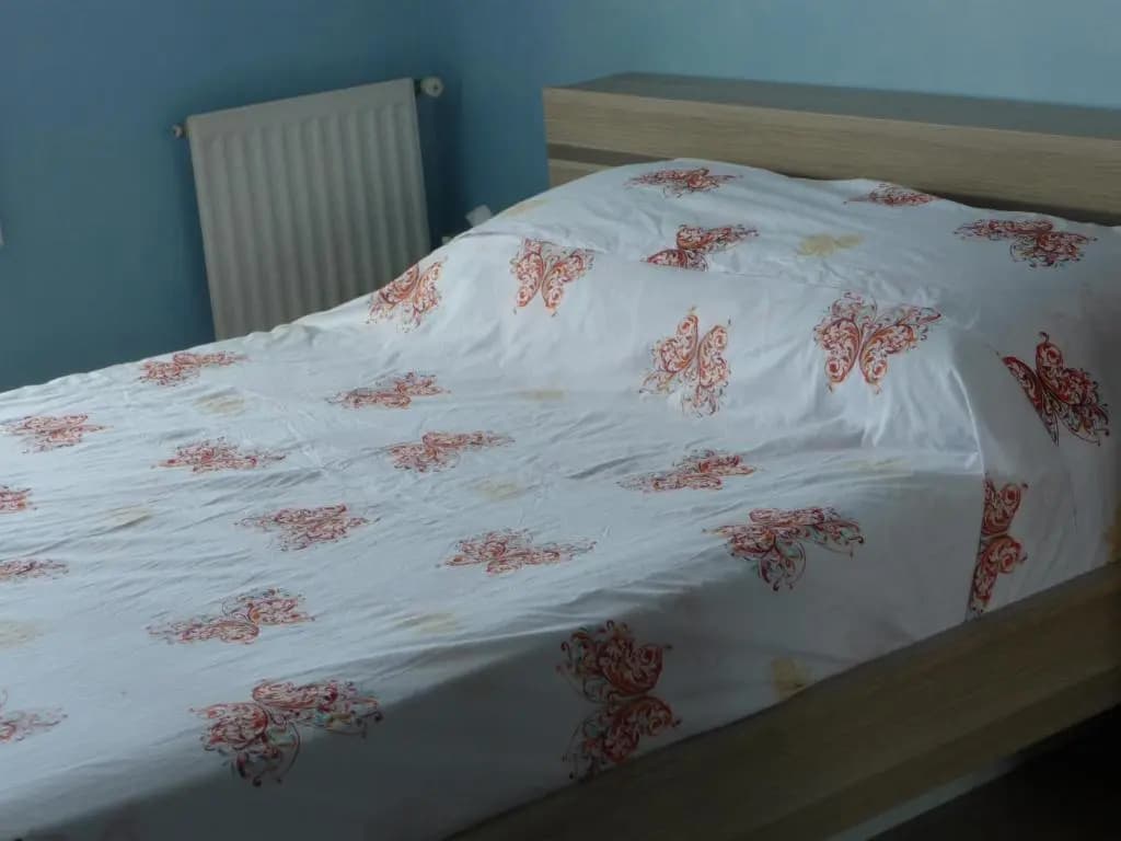 Chambre chez l'habitant Nice Baie des Anges - photo 4