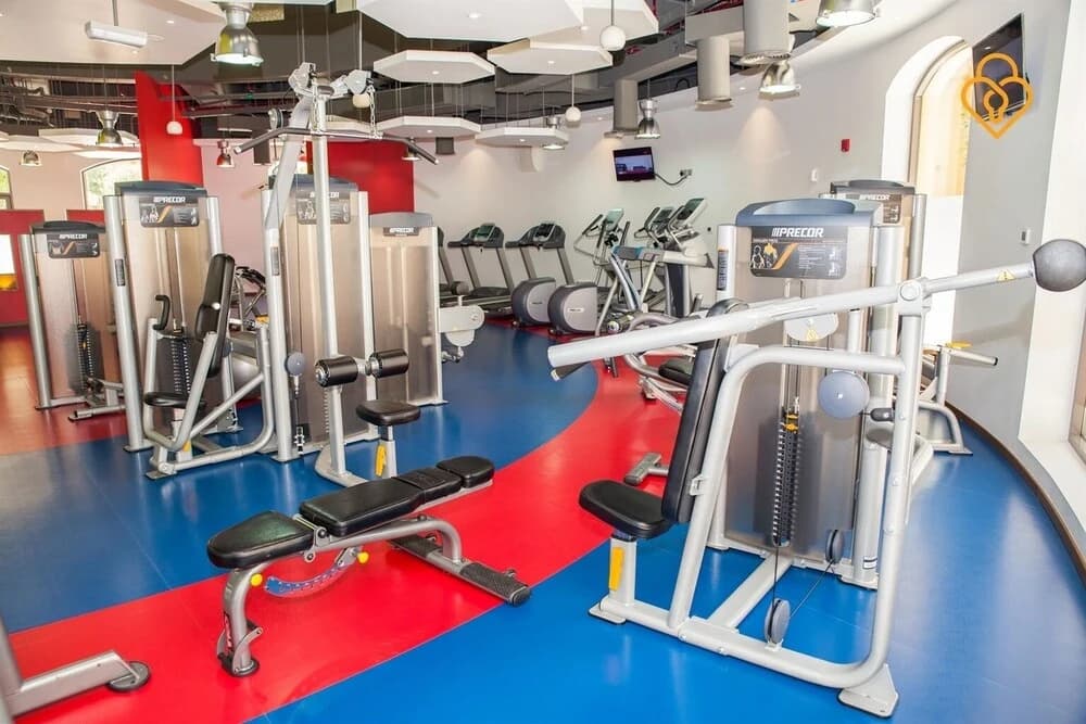 Shams 4 - photo 18