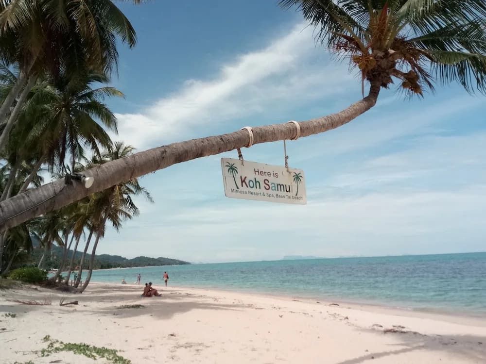 Samui Ben SV Hotel - photo 19