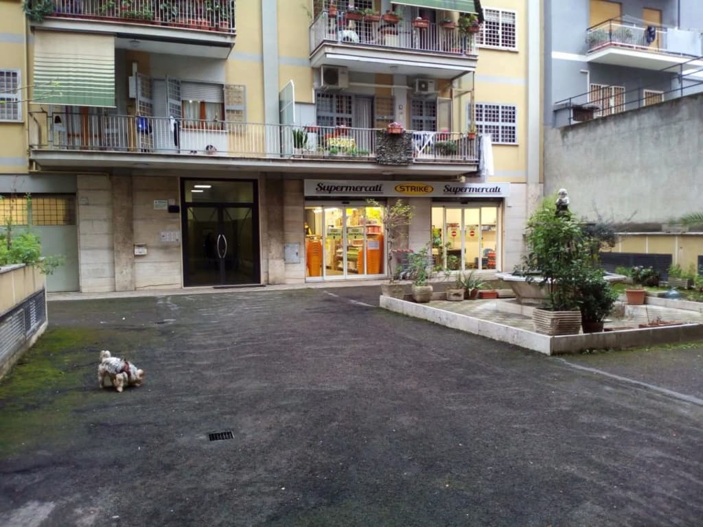 Sergio's Guest House - photo 12