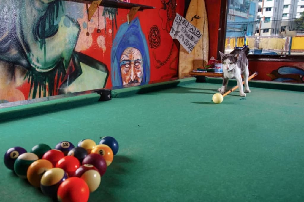 The Overstay Art Hostel - photo 16