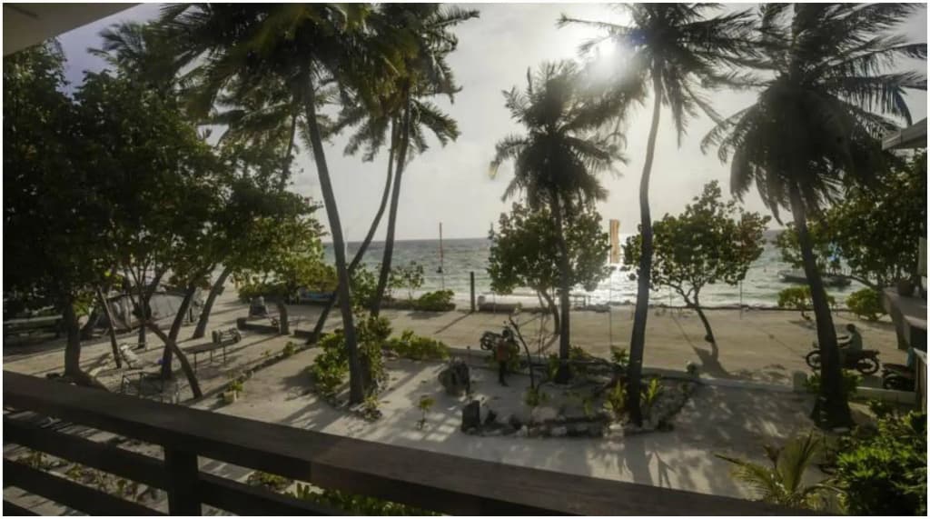Salt Beach Hotel - photo 25