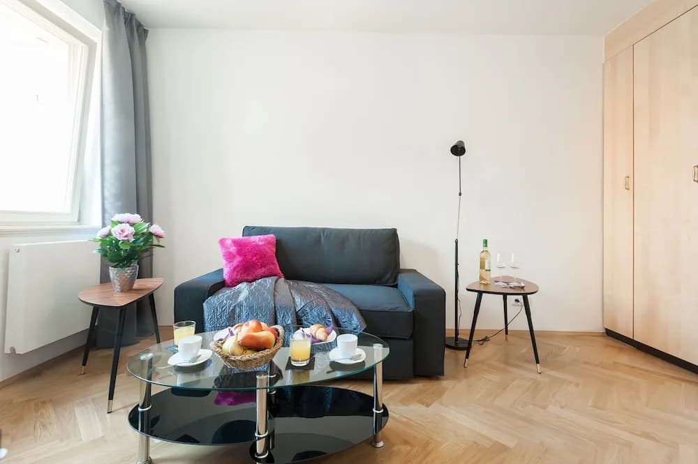 Soukenicka Apartment - photo 3