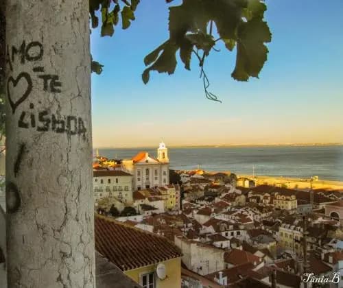 Live Alfama - photo 11